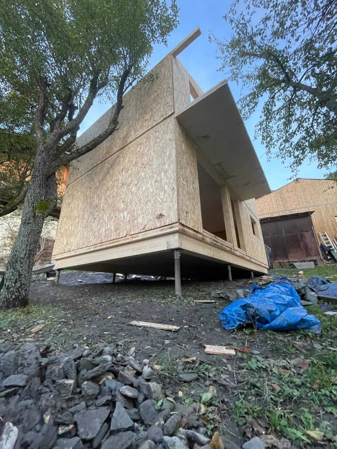 Volume d'un chalet en ossature bois posé sur pilotis sous un arbre